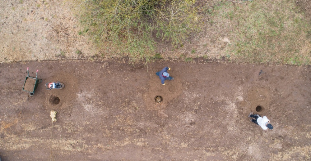 REFORESTAN EL PARQUE MUNICIPAL DE PIGÜÉ