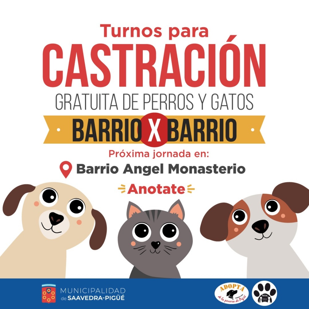 CASTRACIÓN GRATIS EN EL BARRIO EL ANGEL