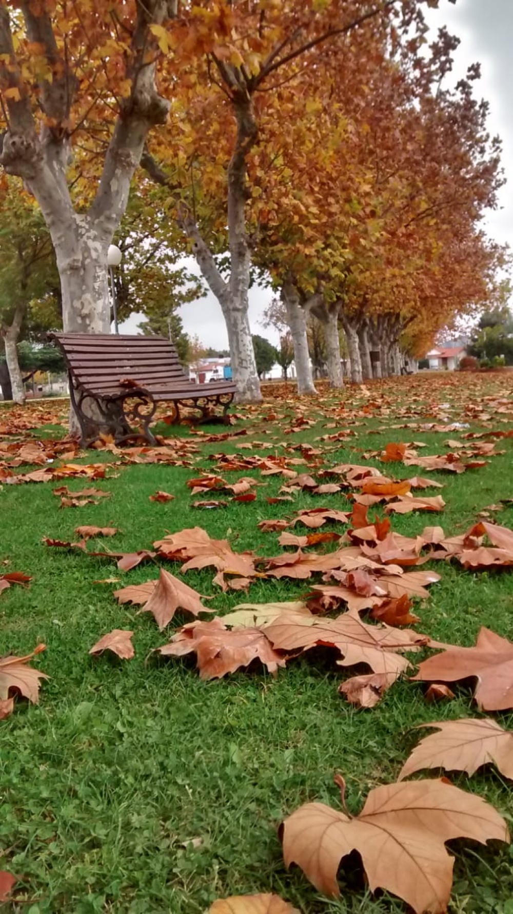 GANADORES DEL CONCURSO FOTOGRÁFICO DE ESPARTILLAR