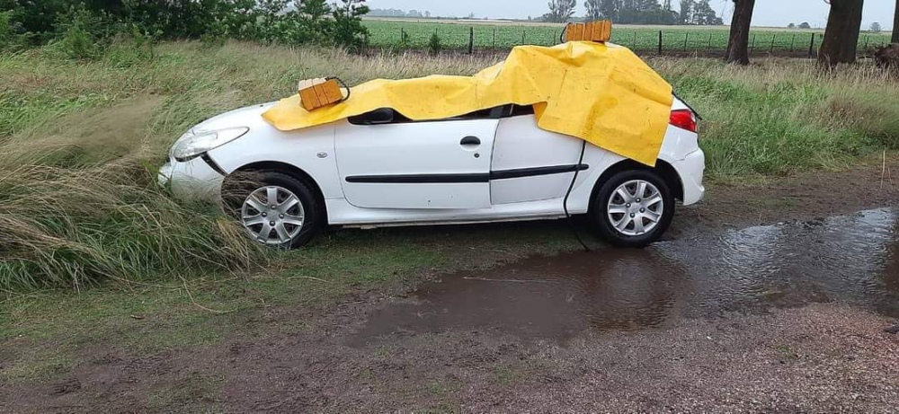 TRAGICO: VIAJABAN AYER POR RUTA 65, EL VIENTO LES TIRO UN ARBOL ENCIMA