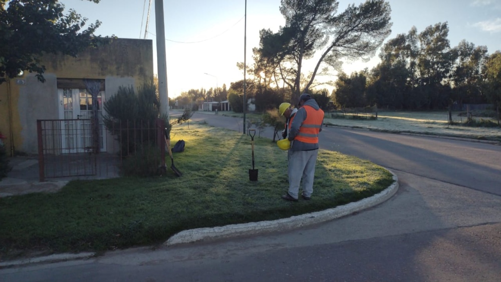 Después de 10 años se reactivó la obra de cloacas en Espartillar