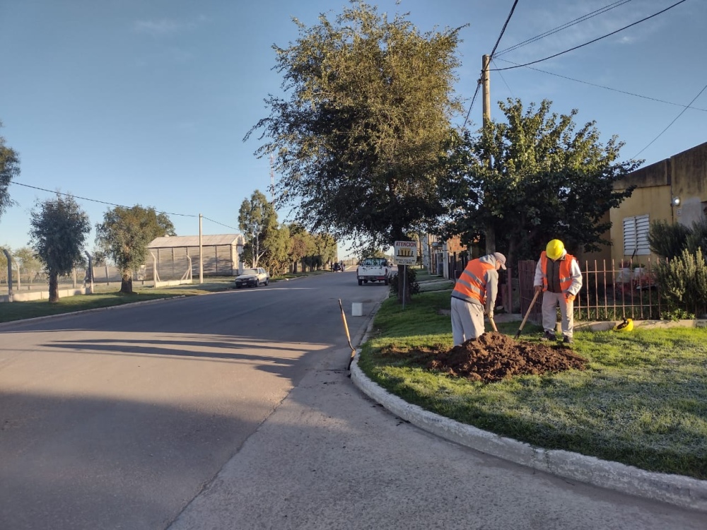 Después de 10 años se reactivó la obra de cloacas en Espartillar