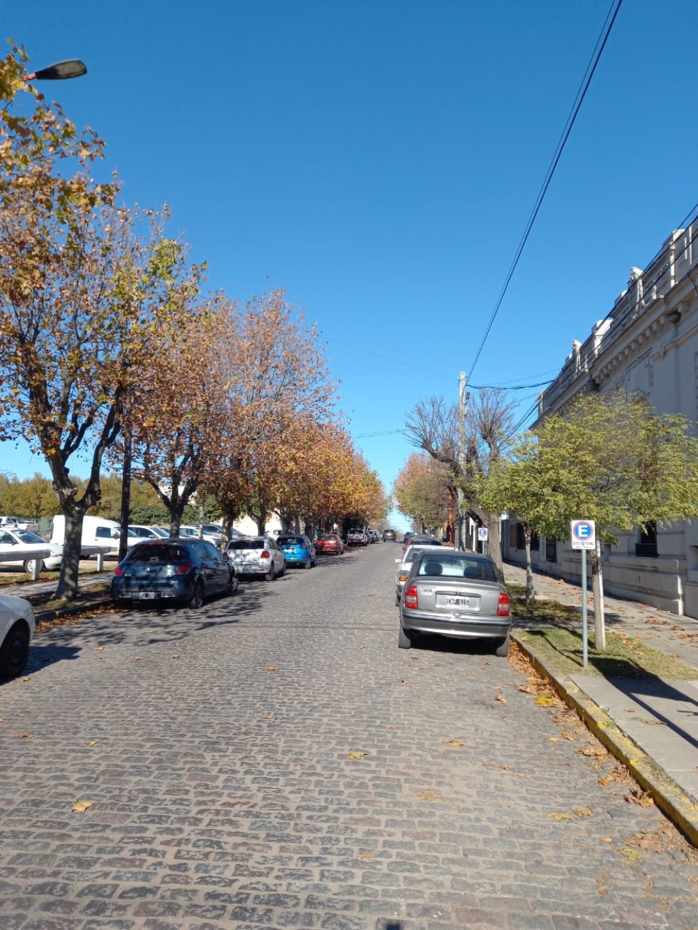 CALLE CERRADA POR PODA