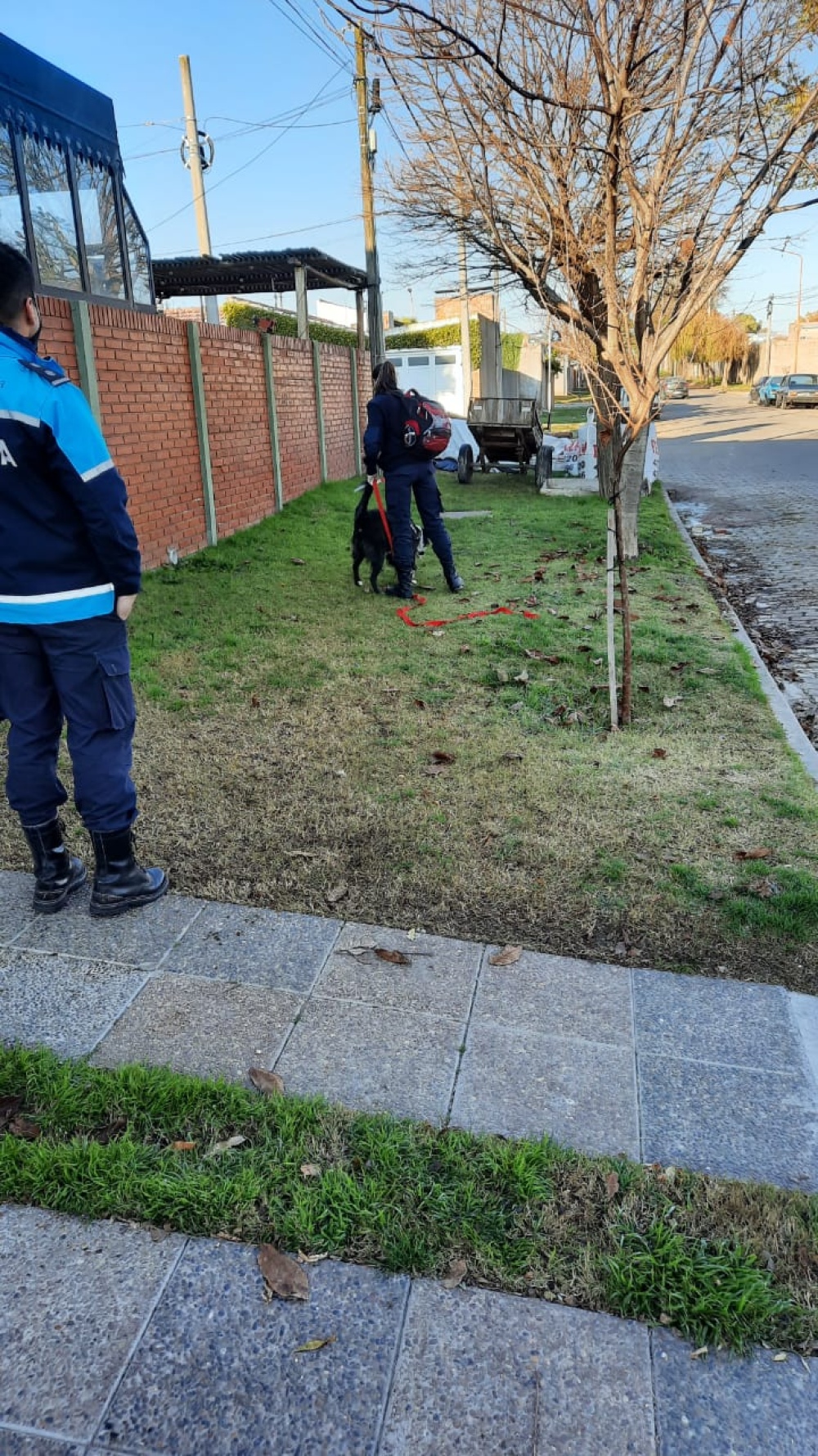 SE INICIÓ EL PROTOCOLO PARA LA BUSQUEDA DE RUTH