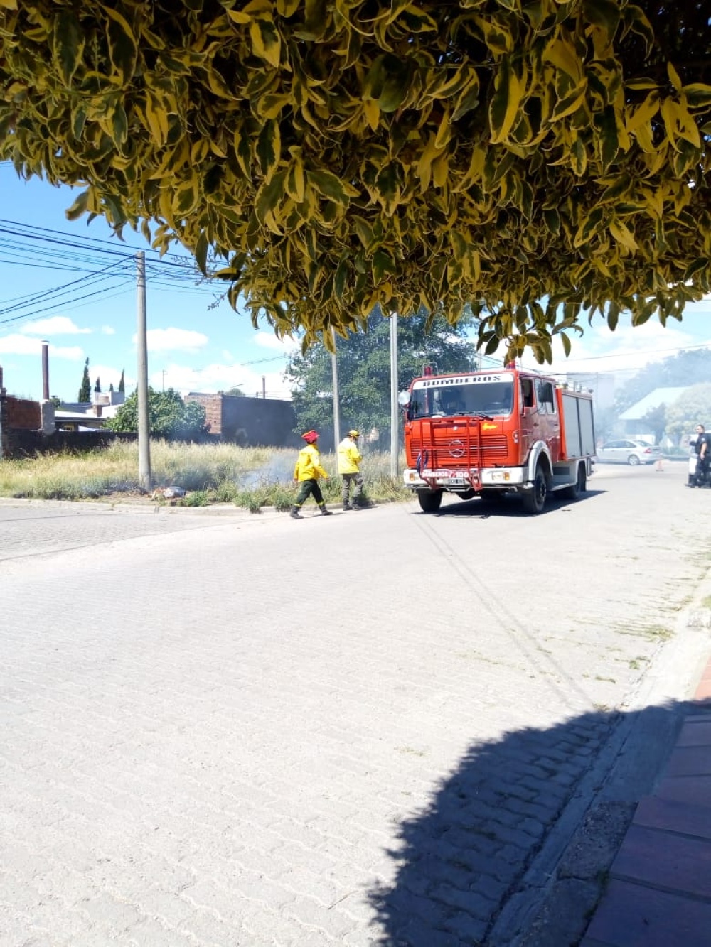 INCENDIO EN UN TERRENO BALDIO