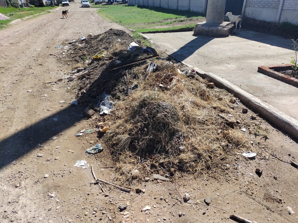 Vecinos del barrio EDES se quejan por que no recolectan los residuos