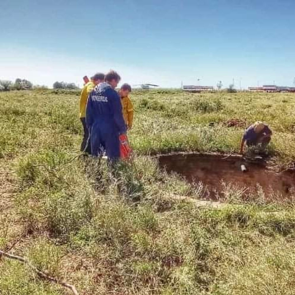 Rescataron perros de un pozo