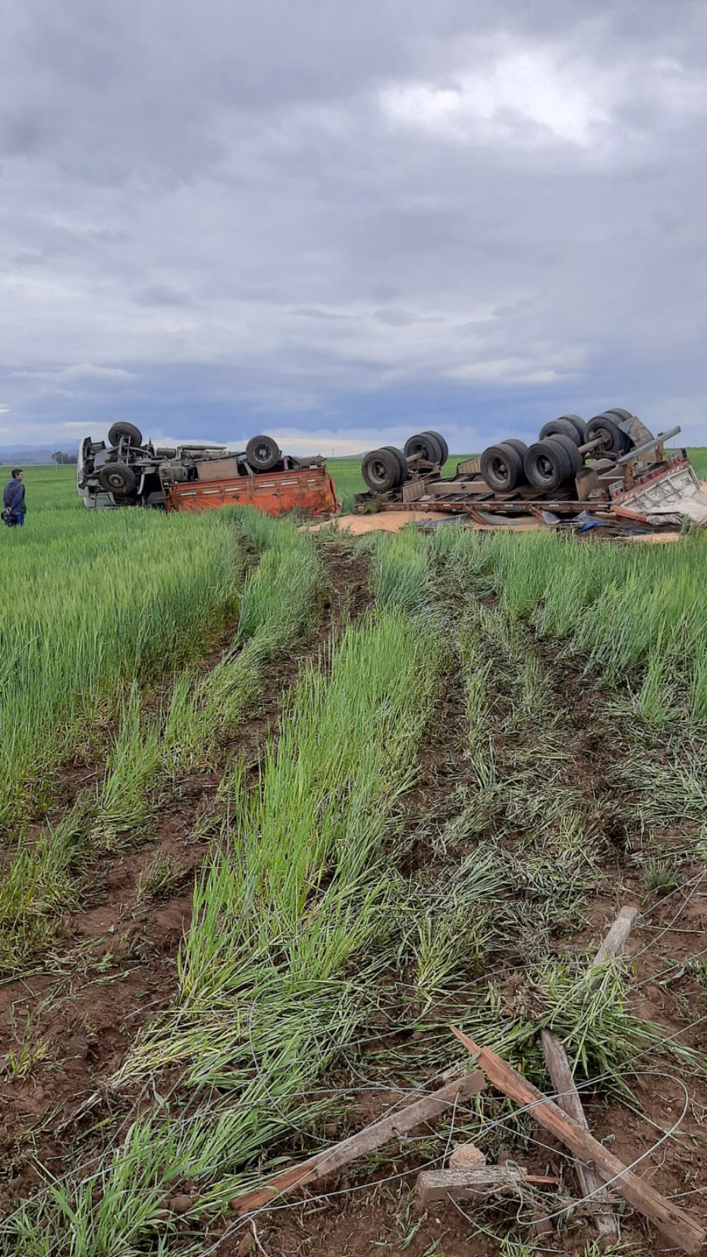 Un camionero falleció al volcar entre Dufaur y Tornquist