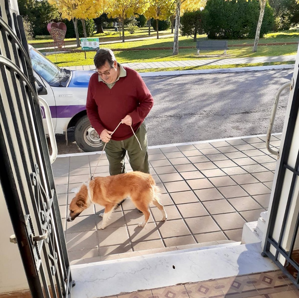 ”Castrar es el único camino para controlar los animales en la calle”