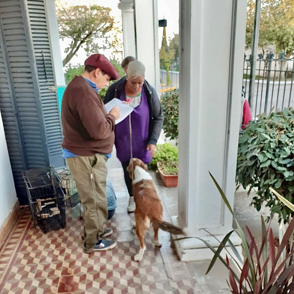 ”Castrar es el único camino para controlar los animales en la calle”