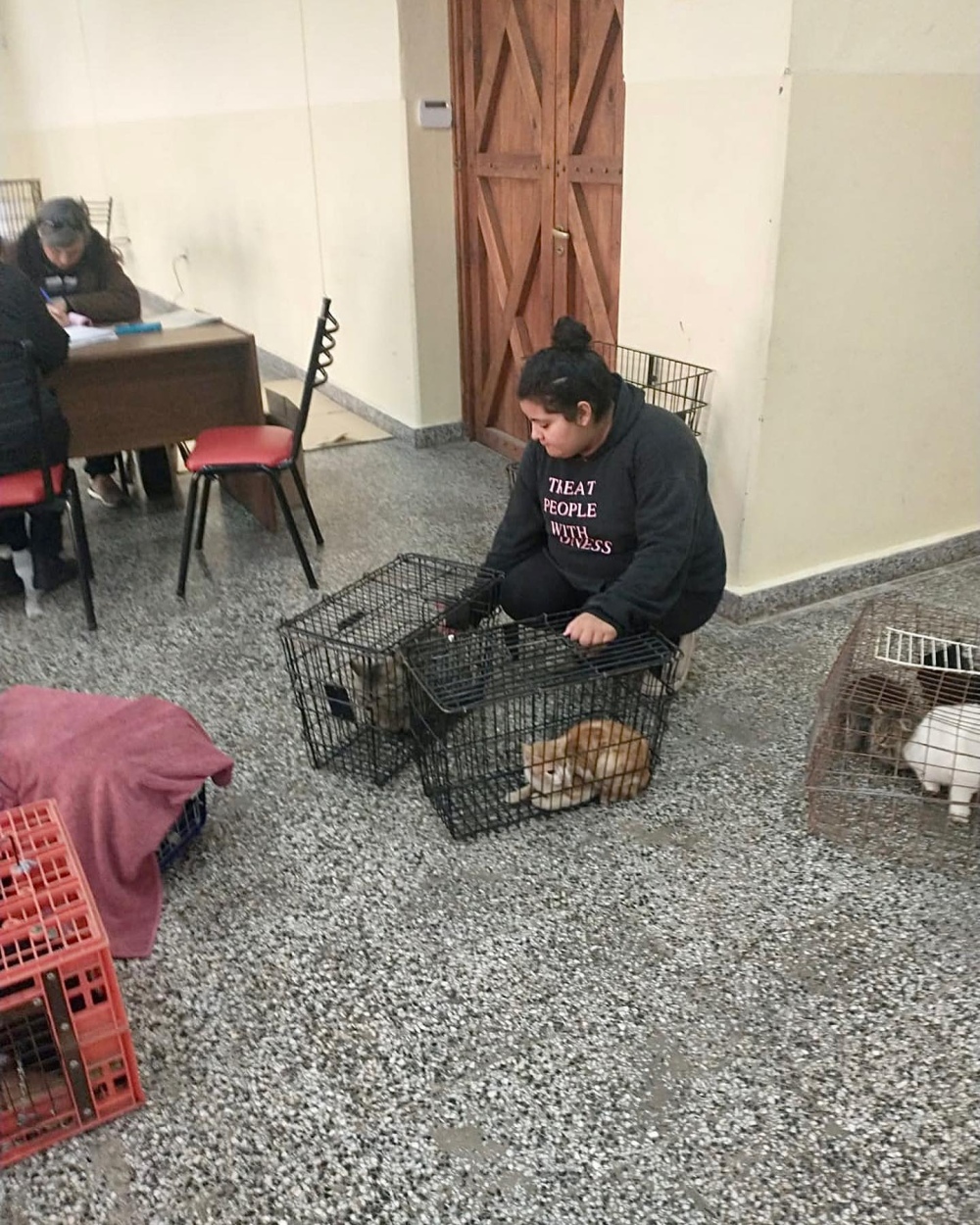 ”Castrar es el único camino para controlar los animales en la calle”