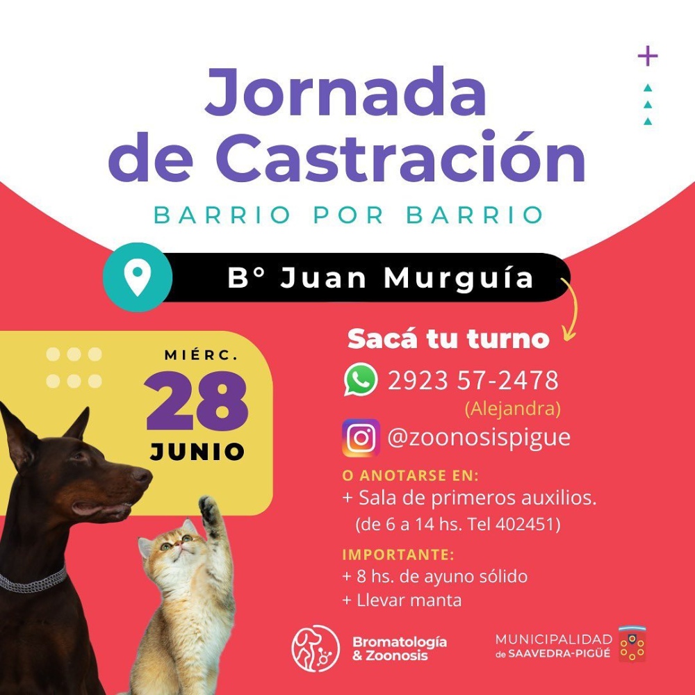 ”Castrar es el único camino para controlar los animales en la calle”