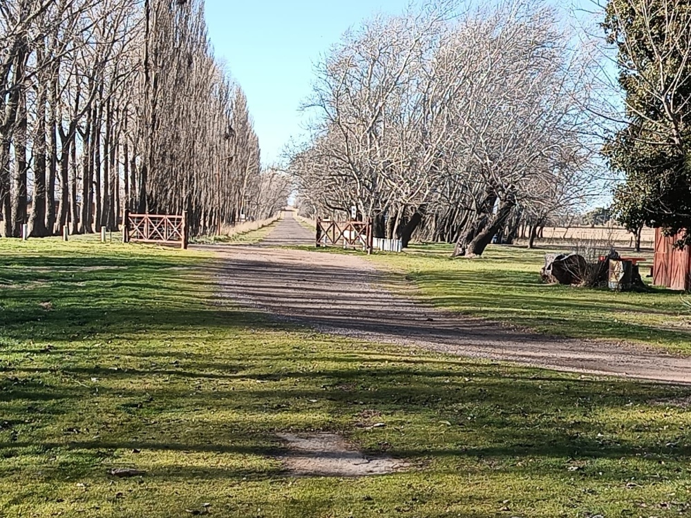 “Con el presupuesto participativo hemos logrado reparar el Parque Los Álamos”