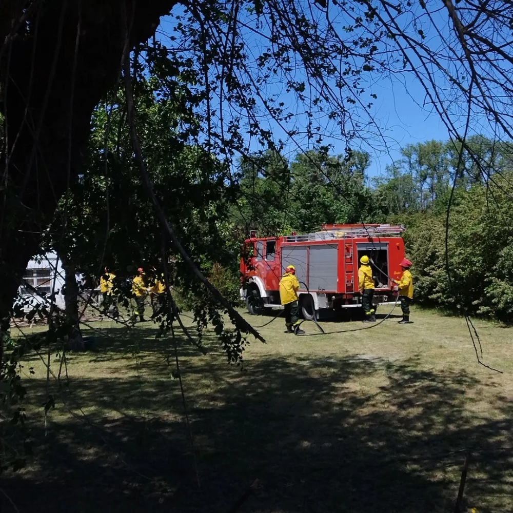 INCENDIO DE PASTOS NATURALES EN SECCION QUINTAS