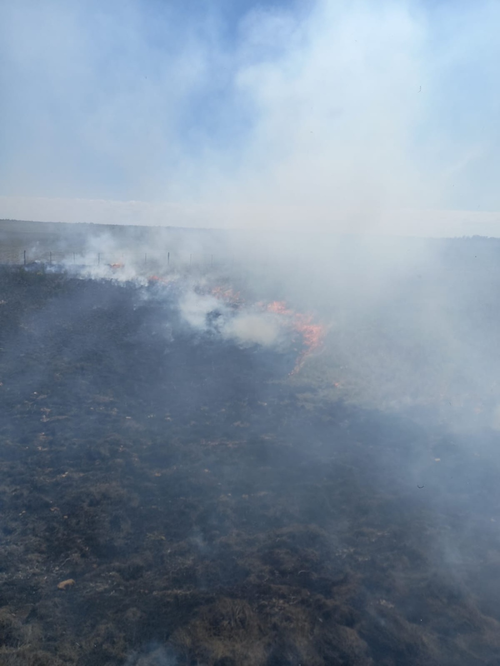 INCENDIO FORESTAL