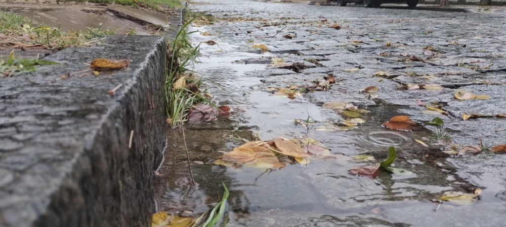 Las precipitaciones en Pigué llevan 102.5mm