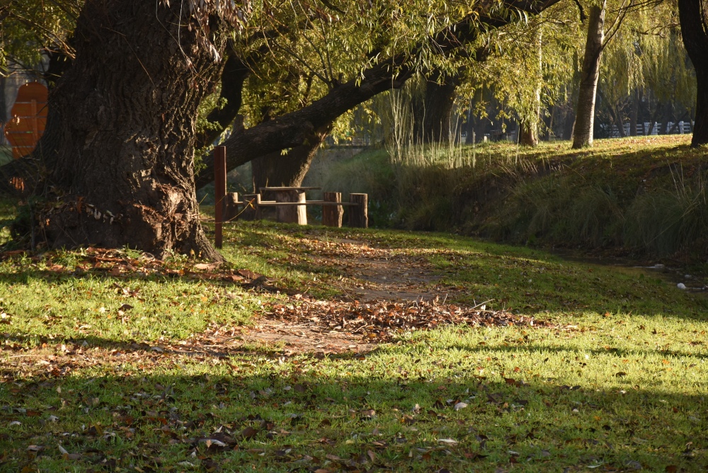 Mantenimiento y conservación del sendero educativo del Arroyo Pihué