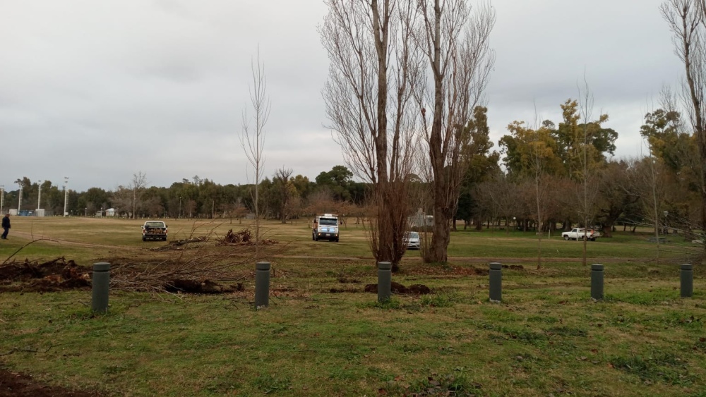 Limpieza del Arroyo Pigüé en el parque municipal