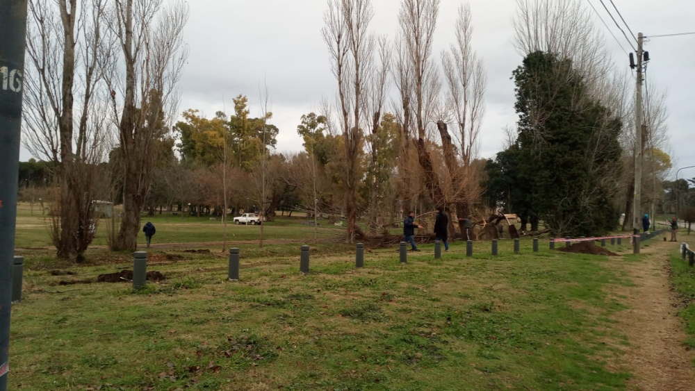 Limpieza del Arroyo Pigüé en el parque municipal