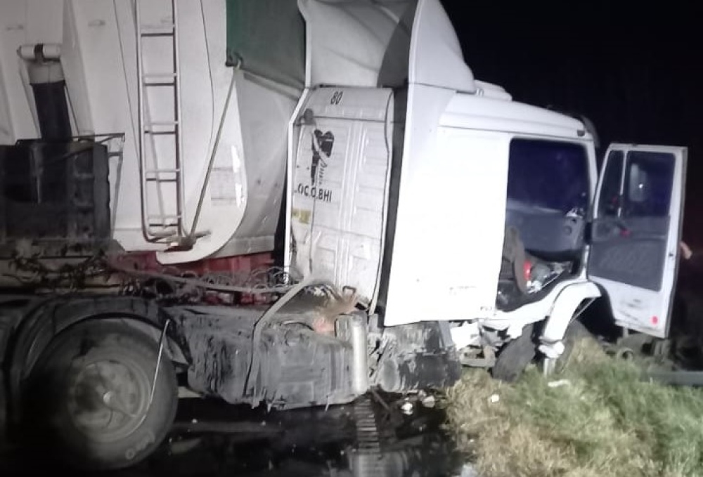 Se le cruzó un carpincho y terminó contra el guardrail del arroyo Pigüé