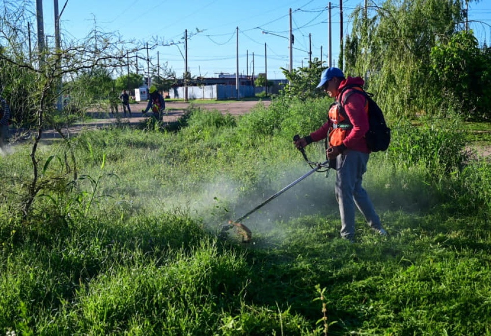 Limpieza y desinfección de terrenos