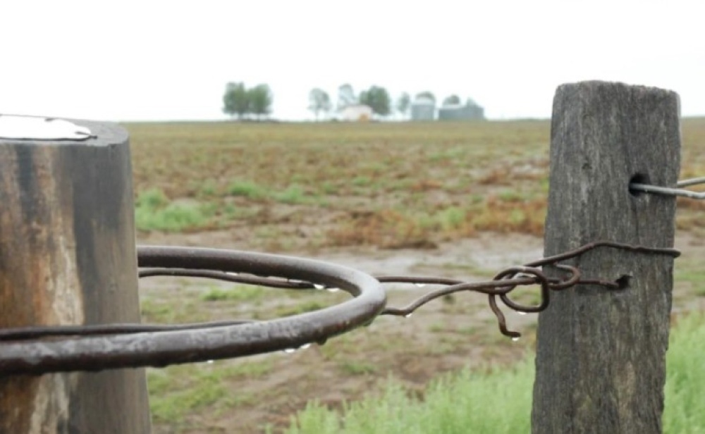 La Niña: cuando una debilidad ilusiona al sector agropecuario