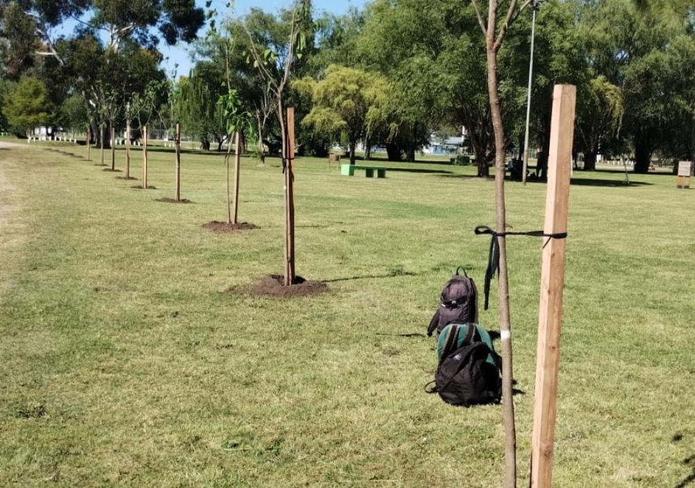 Reforestación en el Parque Municipal