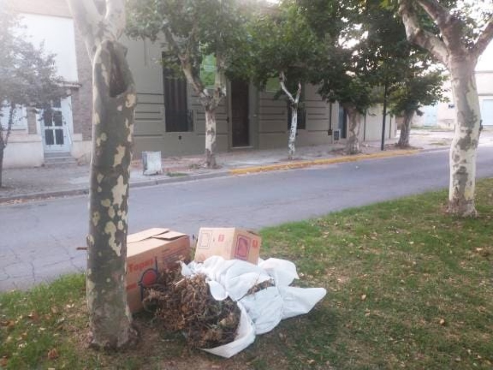 Preocupación por el arrojo de basura en espacios públicos