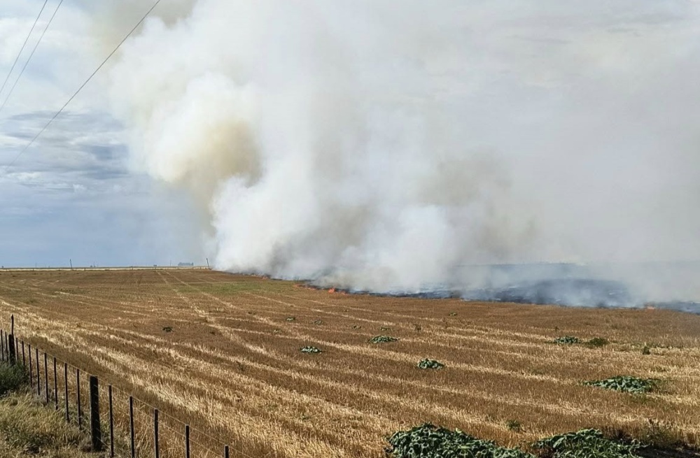 Incendio Forestal en un establecimiento rural cerca de Espartillar