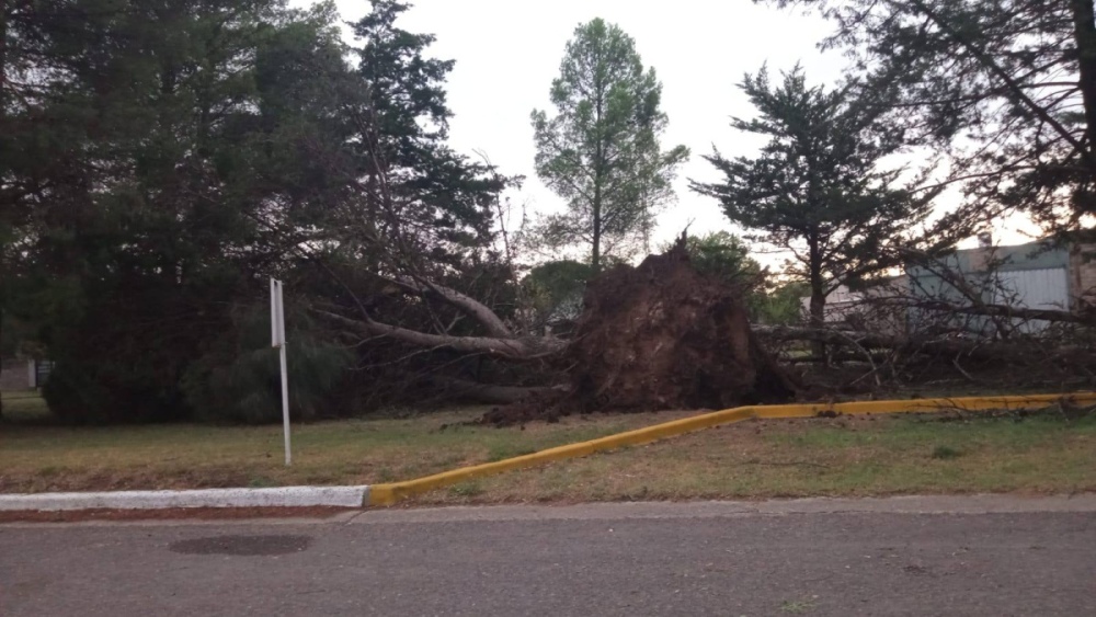 Fuertísimo tormenta en Huanguelén provoco daños importantes en la localidad