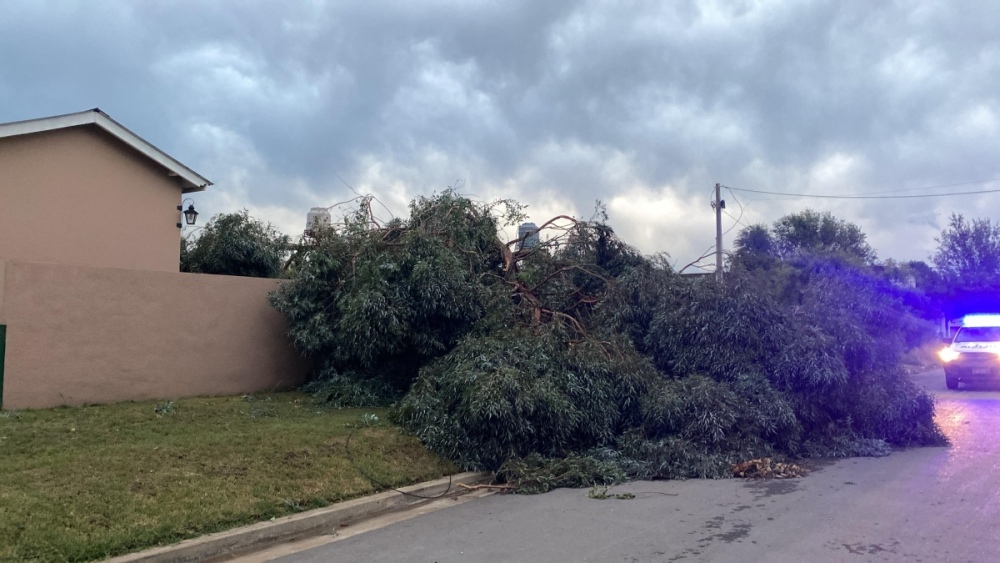 Fuertísimo tormenta en Huanguelén provoco daños importantes en la localidad