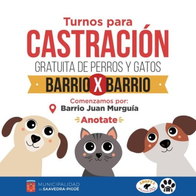 ¡Comienzan las castraciones Barrio!