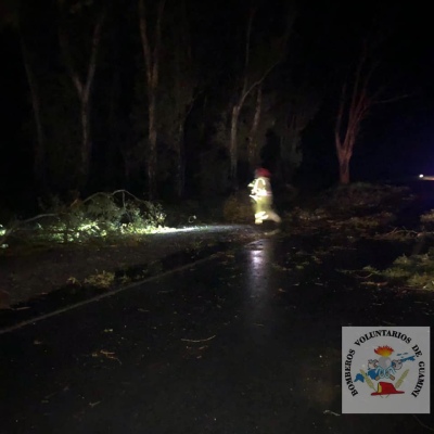 CAYERON ÁRBOLES EN EL ACCESO A COCHICÓ