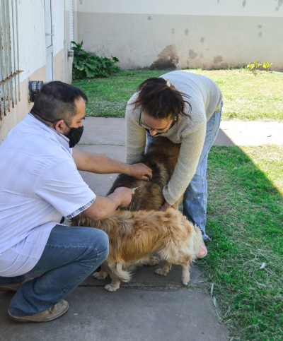 CASTRACIONES EN EL BARRIO "JUAN MURGUIA"