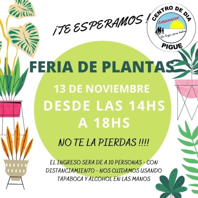 FERIA DE PLANTAS DEL CENTRO DE DÍA