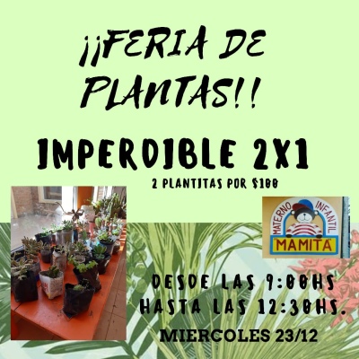 FERIA DE PLANTAS DEL MAMITA