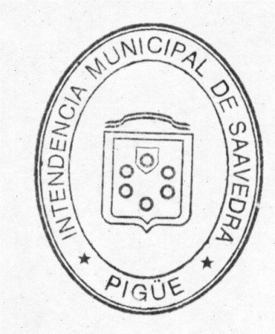 MUNICIPALIDAD DE SAAVEDRA (PIGÜÉ)