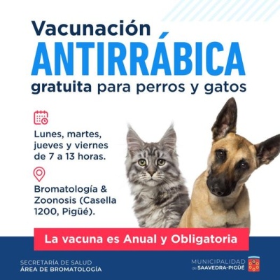 Castración y vacunación antirrábica