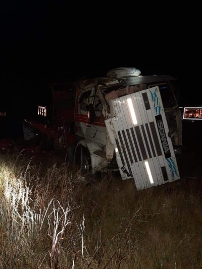 Dos camiones chocaron con 9 vacunos en la RP 65