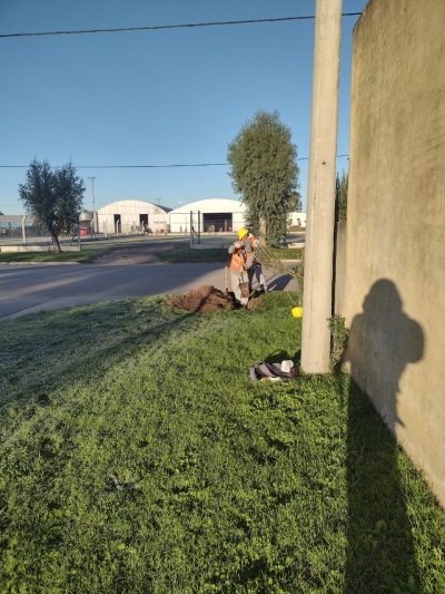 Después de 10 años se reactivó la obra de cloacas en Espartillar