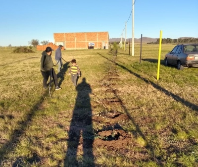 La peña "Dale Bó" plantó 20 árboles