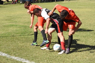 Reinició el Guillermo Palma