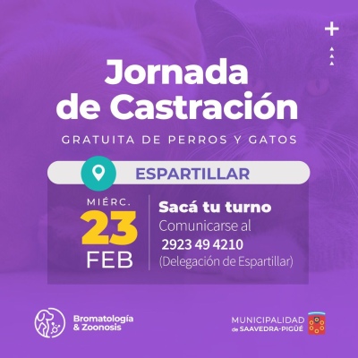 EXCELENTE ÍNDICE DE CASTRACIONES EN EL DISTRITO