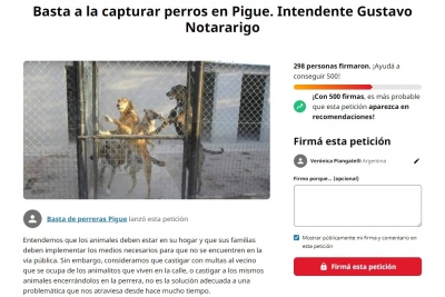 Quejas por la captura de perros que tienen dueño