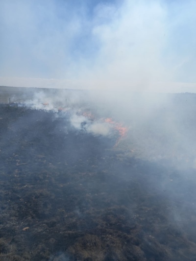 INCENDIO FORESTAL