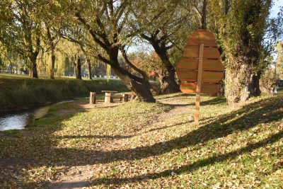 Mantenimiento y conservación del sendero educativo del Arroyo Pihué