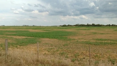 Preocupación en el sector agropecuario ante la llegada del fenómeno climático La Niña