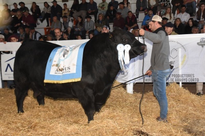 Expo Rural Saavedra 2024