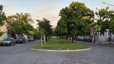 Reforestación del bulevar de la Avenida Casey de Pigüé